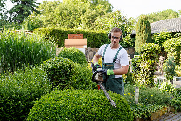 Best Lawn Grading and Leveling  in Biddeford, ME